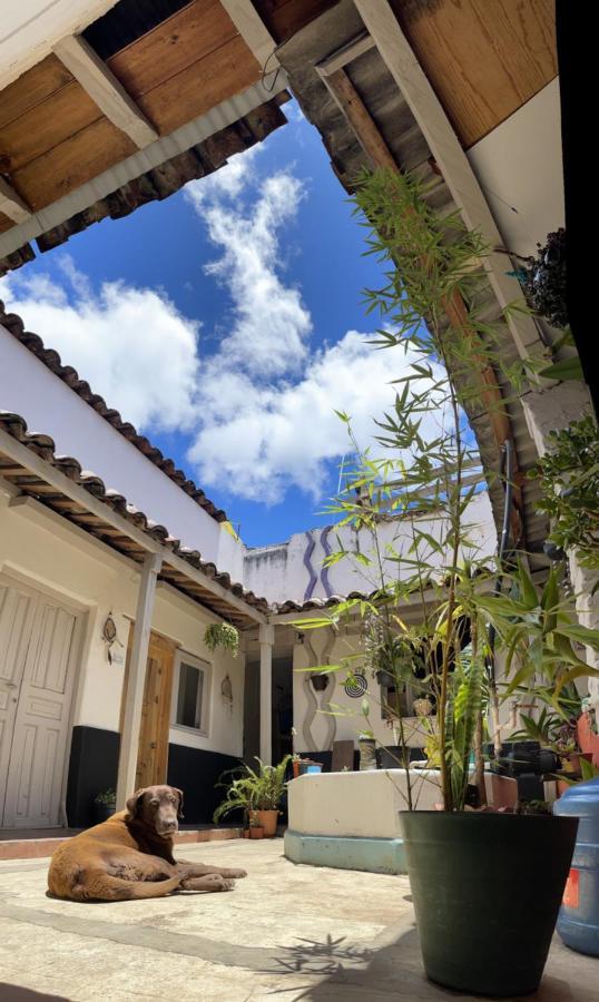 Hostal Posada Mi Casa San Cristóbal de Las Casas Exterior foto